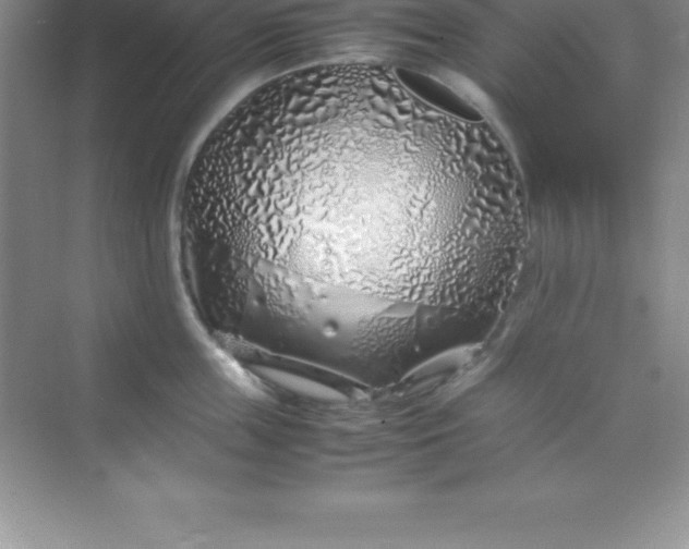 X0000070230859200606091715