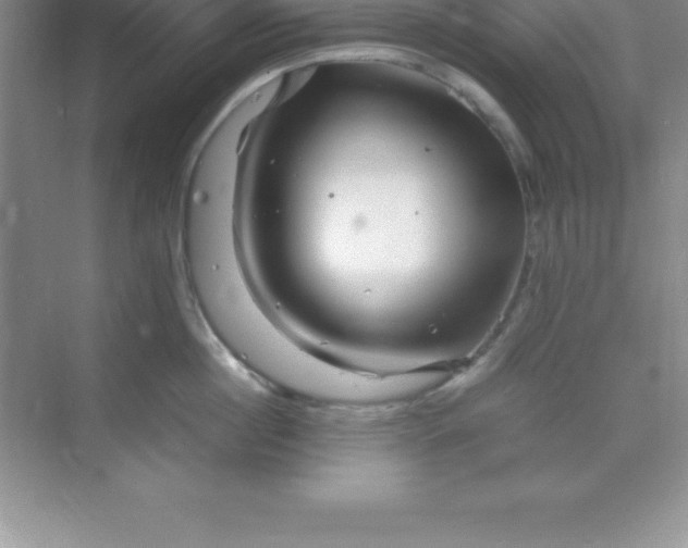 X0000070230860200606091715