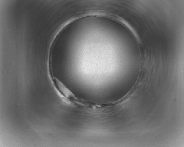 X0000070230861200606091715