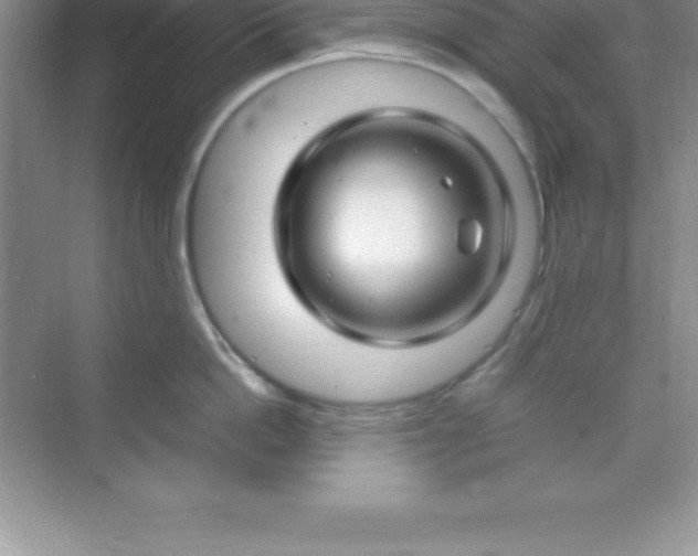 X0000070230862200606091715