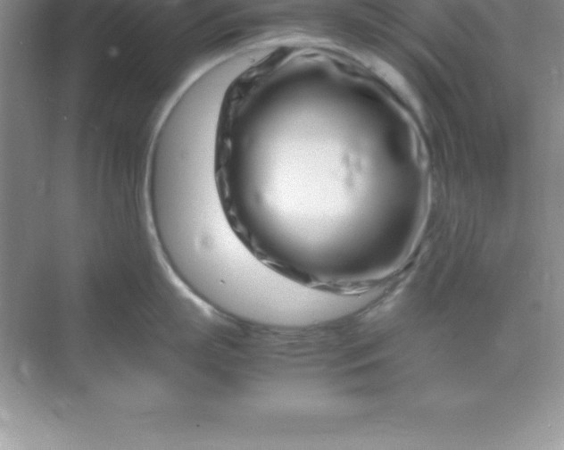 X0000070230863200606091715