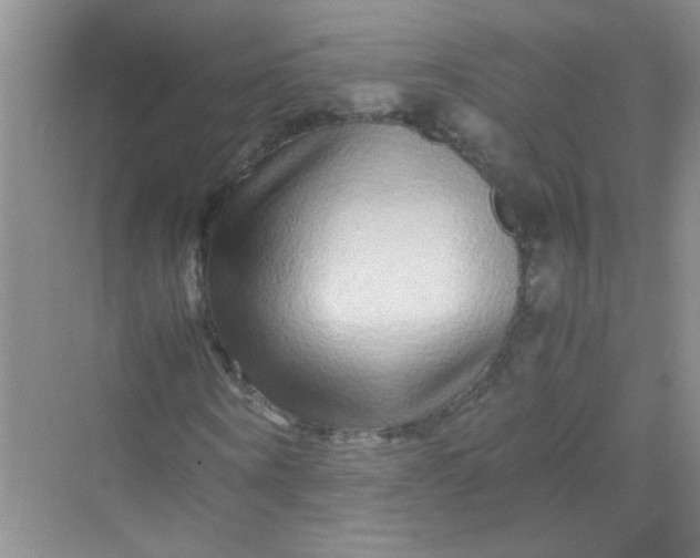 X0000070230866200606091714