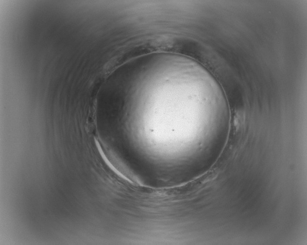 X0000070230867200606091714