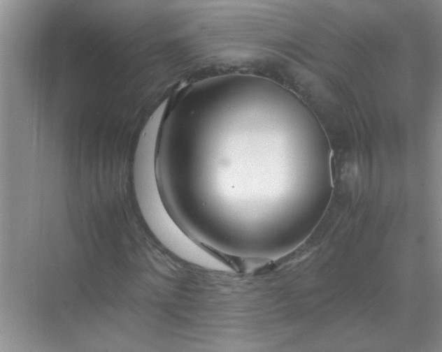 X0000070230868200606091714