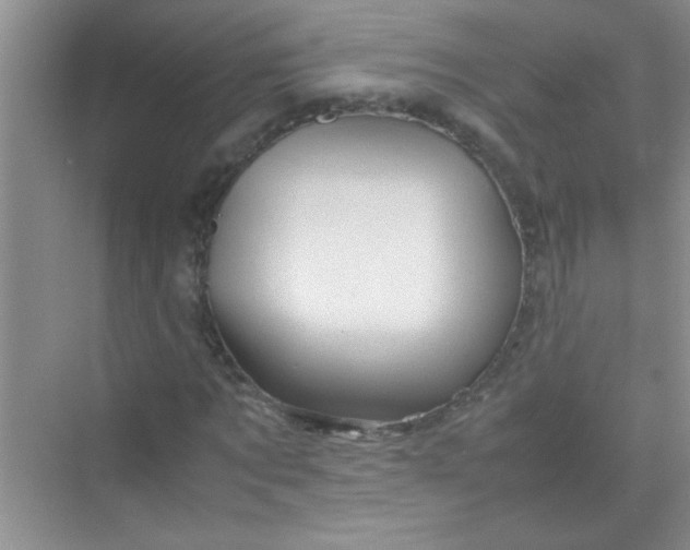 X0000070230869200606091714