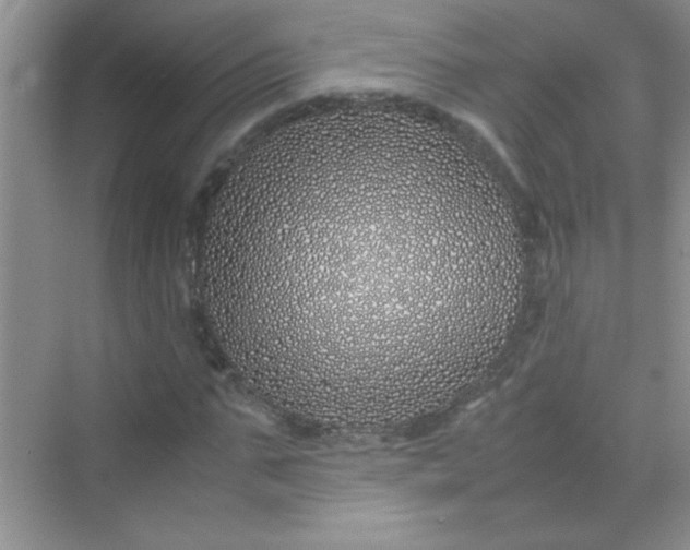 X0000070230871200606091714