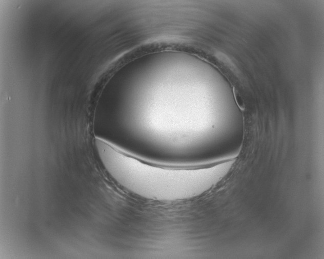 X0000070230872200606091714