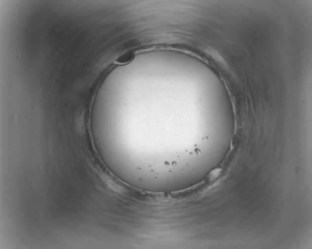 X0000070230873200606091714