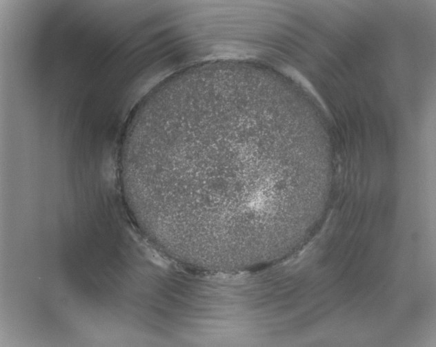 X0000070230874200606091714