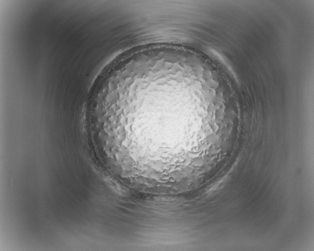 X0000070230875200606091714