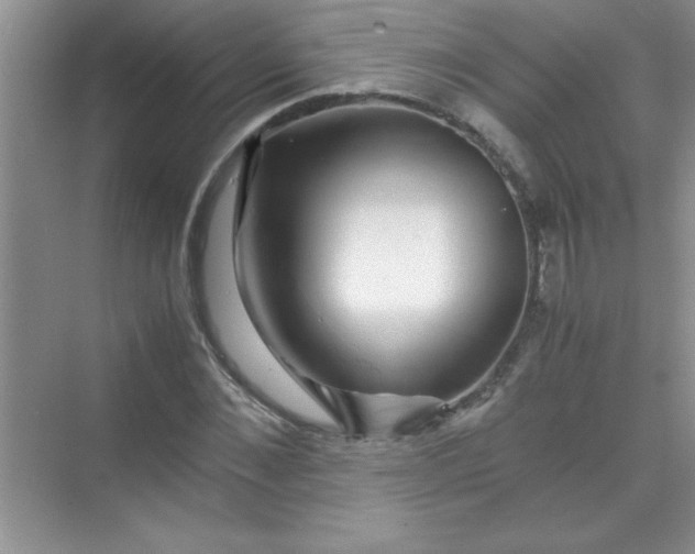 X0000070230876200606091714