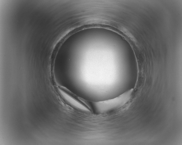 X0000070230877200606091714