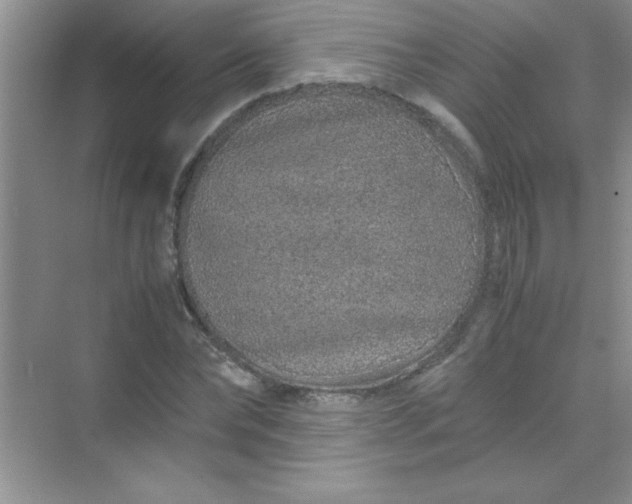 X0000070230878200606091714