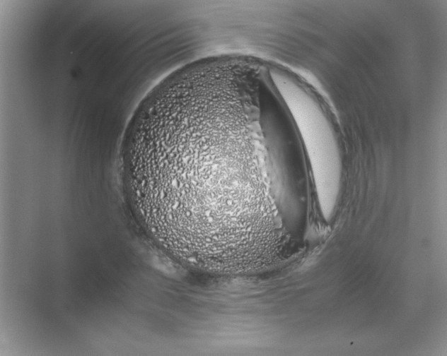 X0000070230879200606091714