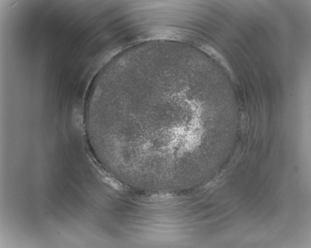 X0000070230882200606091714