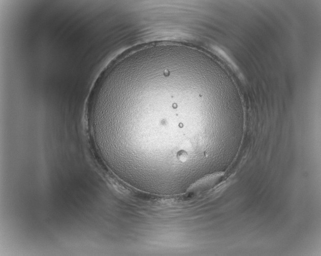 X0000070230883200606091714