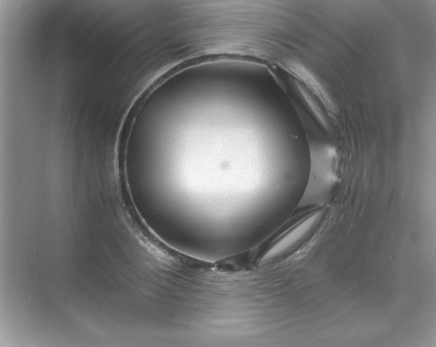 X0000070230884200606091714