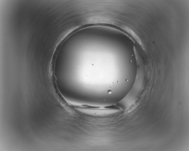 X0000070230885200606091714