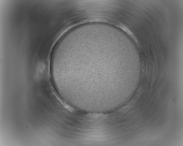 X0000070230886200606091714