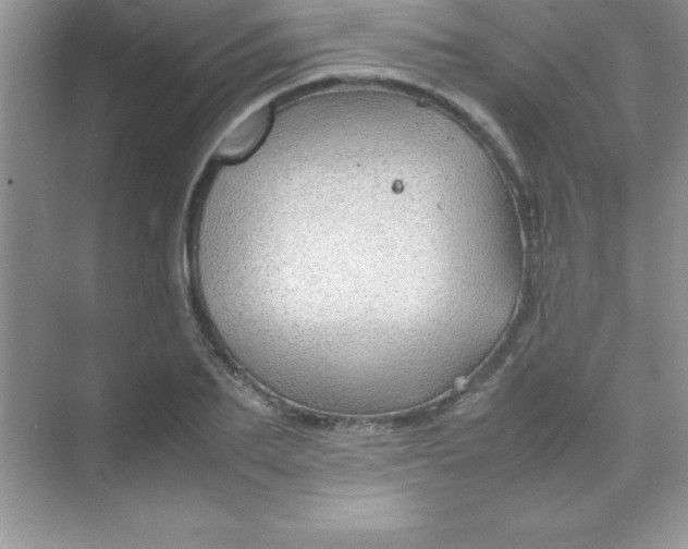 X0000070230887200606091714