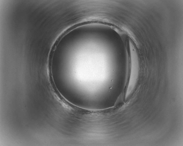 X0000070230888200606091714