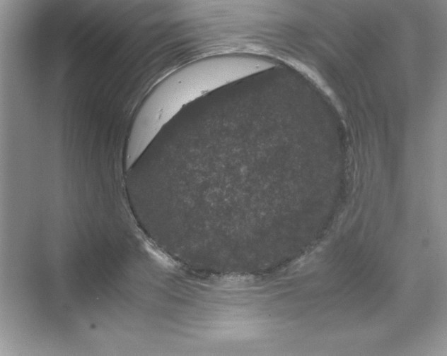 X0000070230889200606091714