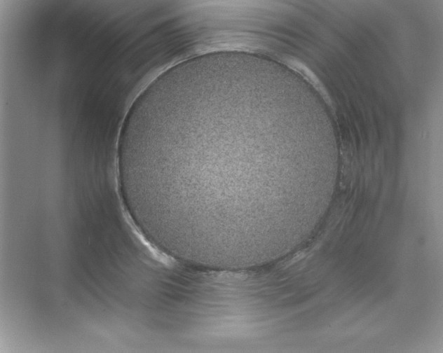 X0000070230890200606091714