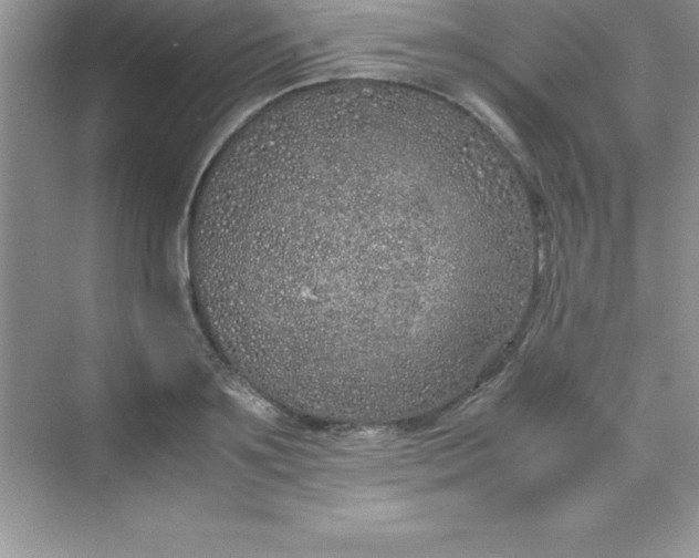 X0000070230891200606091714