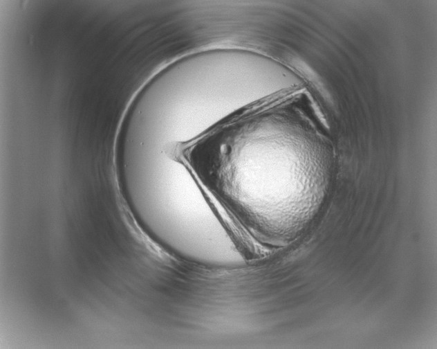 X0000070230892200606091714