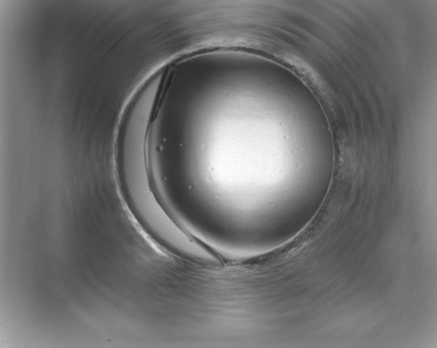 X0000070230894200606091714