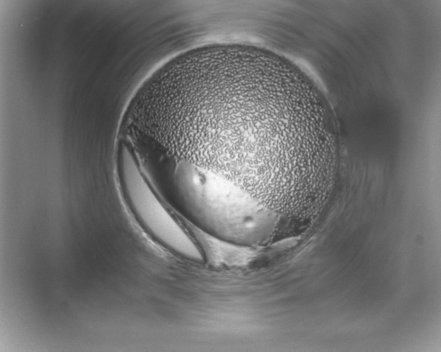 X0000070230895200606091714