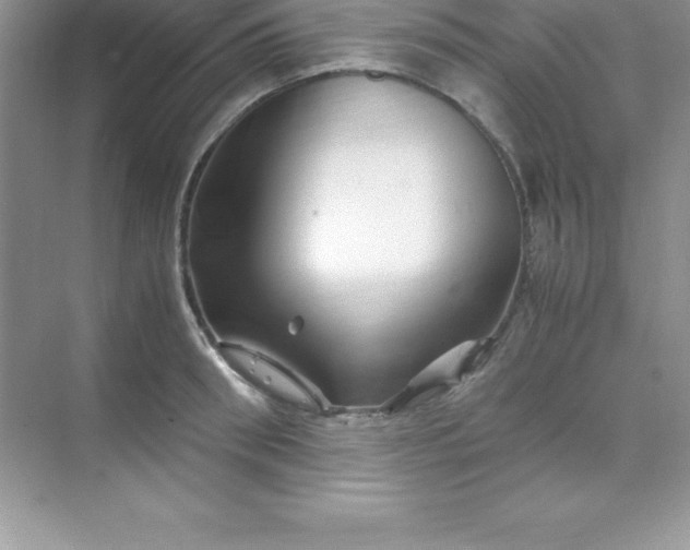 X0000070230898200606091714