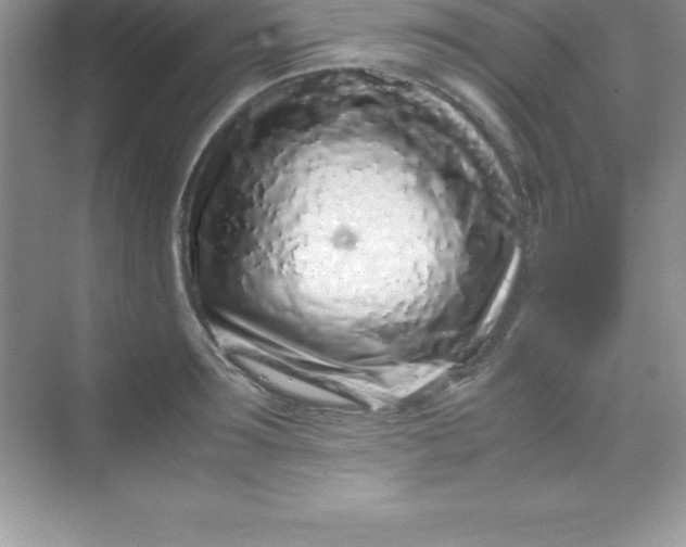 X0000070230899200606091714