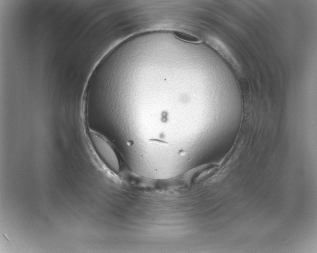 X0000070230900200606091714