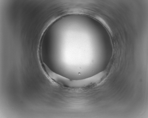 X0000070230901200606091714