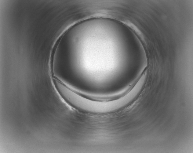 X0000070230902200606091714