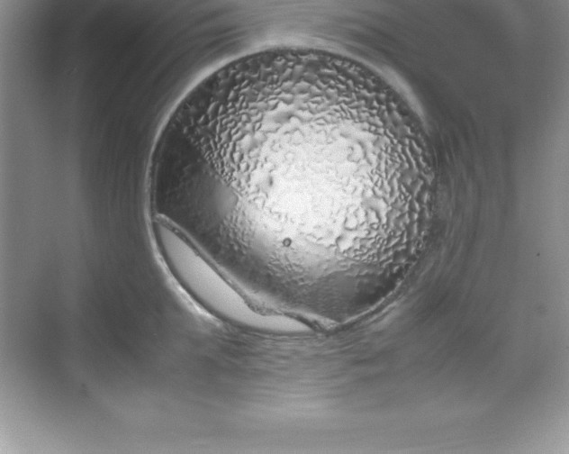 X0000070230903200606091714