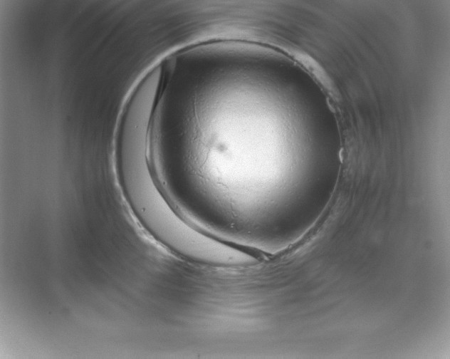 X0000070230904200606091714