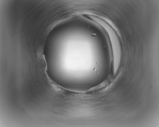 X0000070230905200606091714