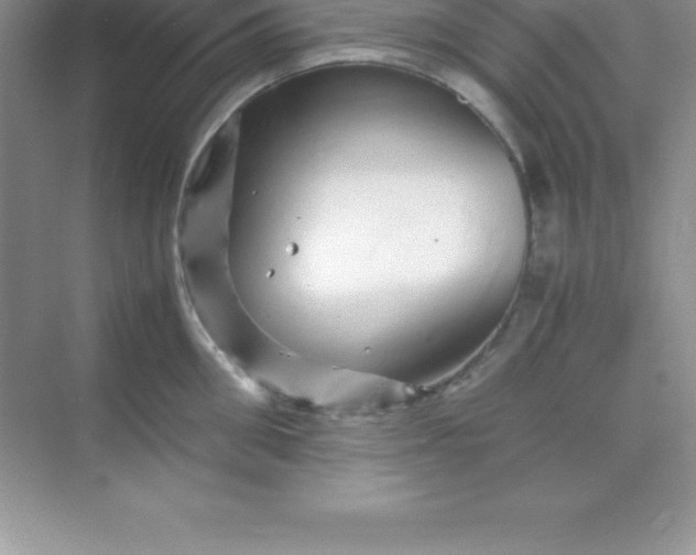 X0000070230906200606091714