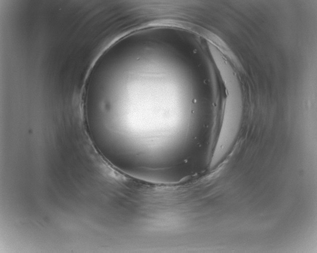 X0000070230908200606091714