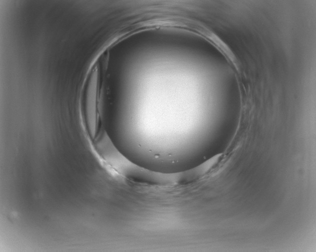 X0000070230909200606091714