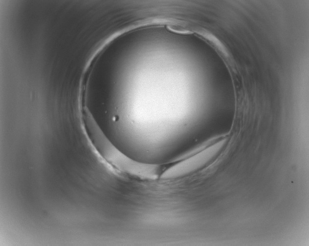 X0000070230910200606091714