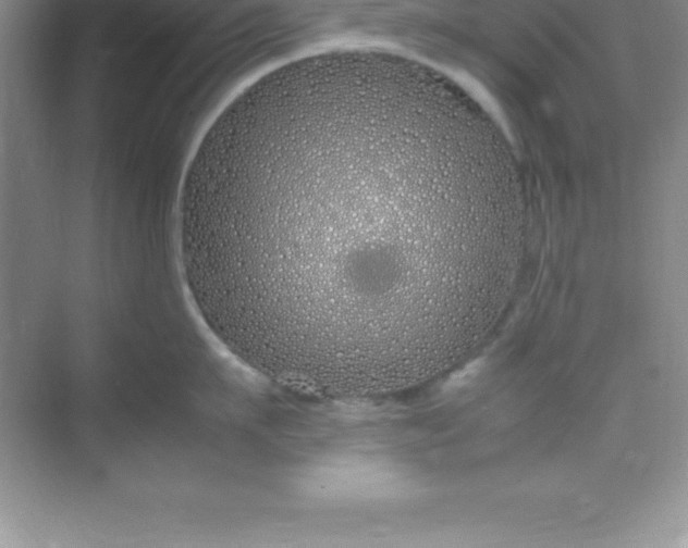 X0000070230911200606091714