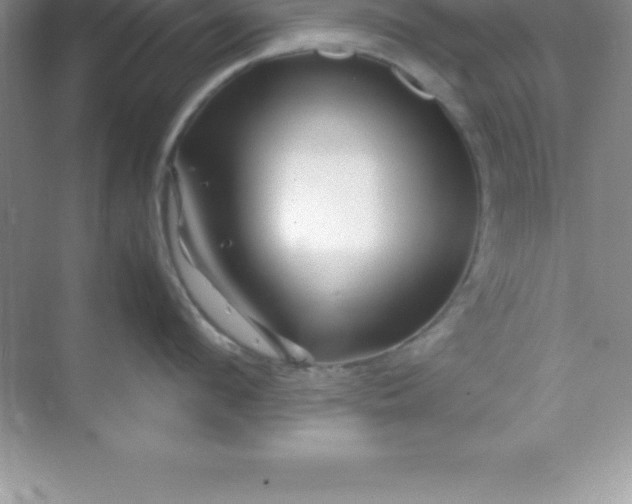 X0000070230912200606091714