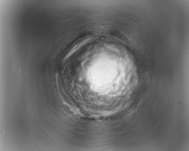 X0000070230913200606091713