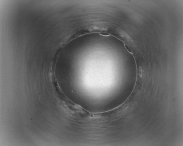 X0000070230915200606091713