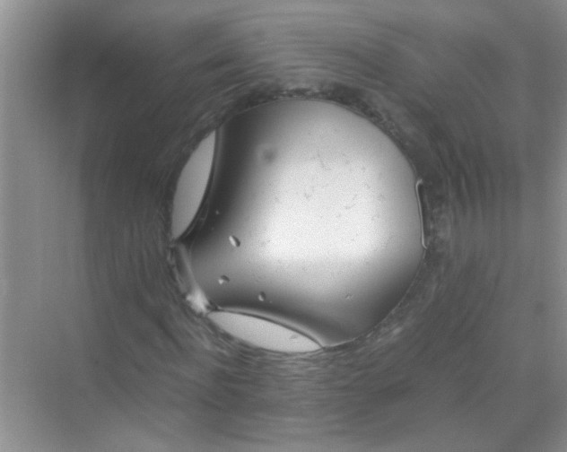 X0000070230916200606091713