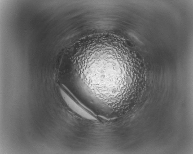 X0000070230917200606091713