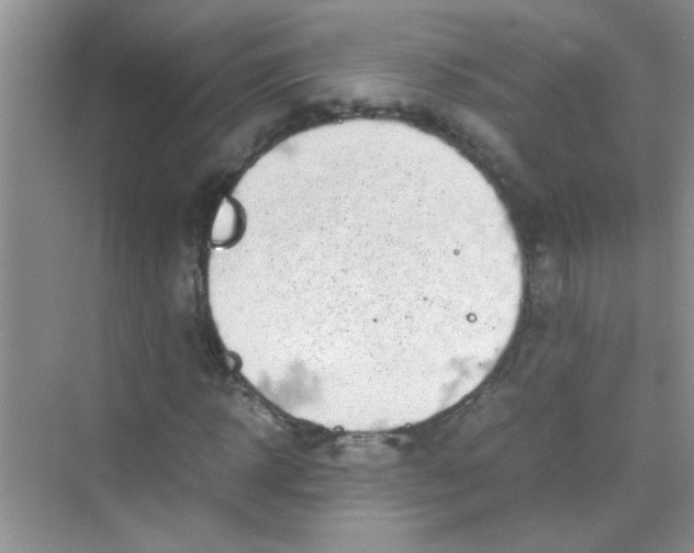 X0000070230918200606091713